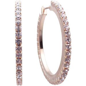 Mariana On a Clear Day Gold Earrings in Clear Crystal Hoop Style 001 NWT